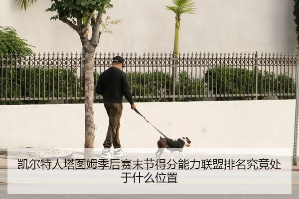 凯尔特人塔图姆季后赛末节得分能力联盟排名究竟处于什么位置